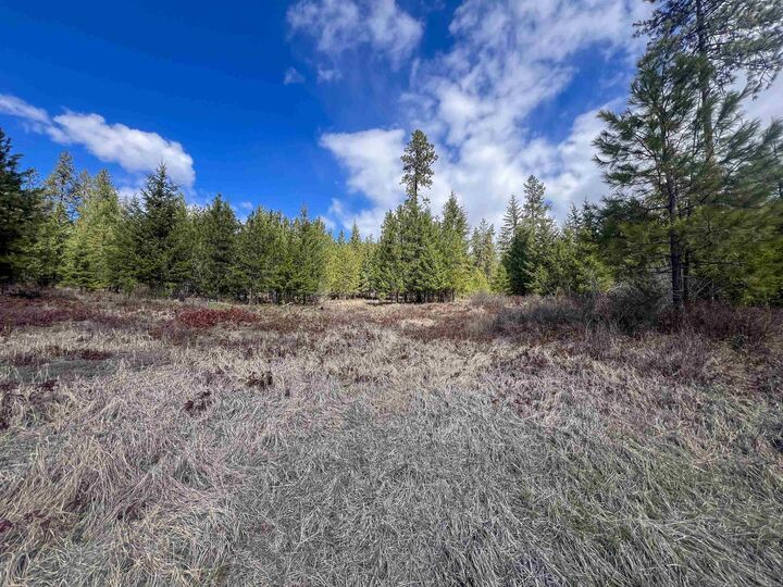 Property Photo: 7xx Old Arden Hwy WA 99114