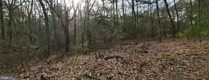 Property Photo: 6020 Catchpenny Road MD 21856