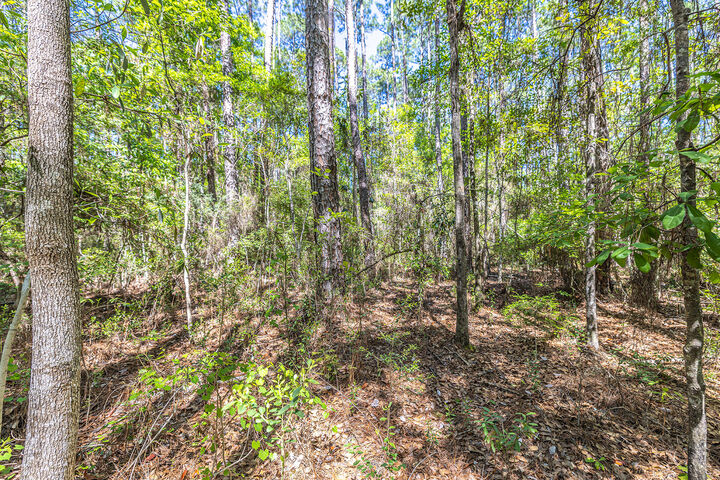 Property Photo: Lot 8 Mallet Road FL 32439