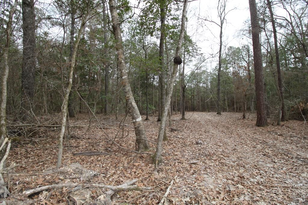 Property Photo: R 12227 Plantation Drive TX 75901