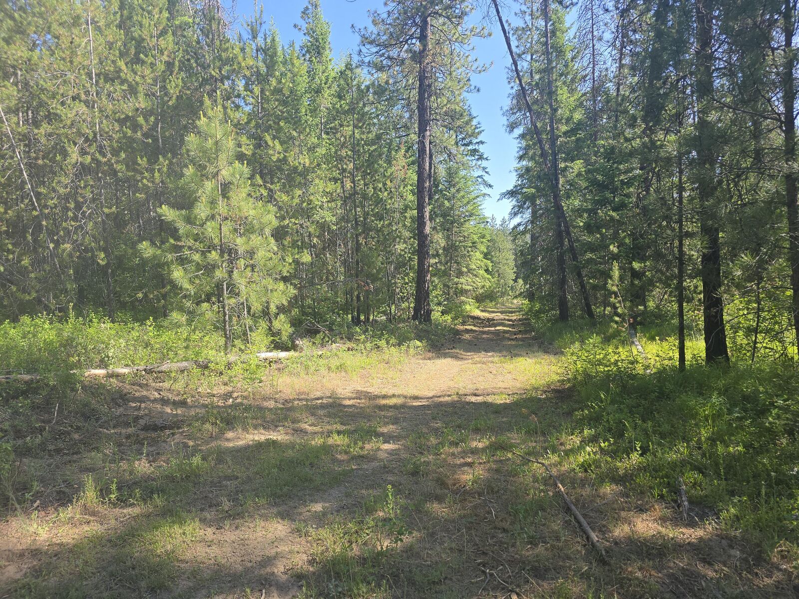 Property Photo:  Tbd Grouse Creek  WA 99148 