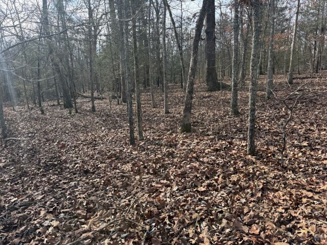 Property Photo:  Tract 1 Mc 8003  AR 72687 