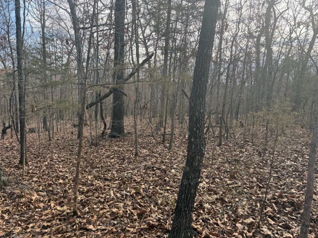 Property Photo:  Tract 3 Mc 8003  AR 72687 