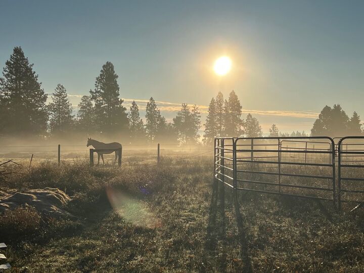 Property Photo: 11021 S Hatch Rd WA 99224