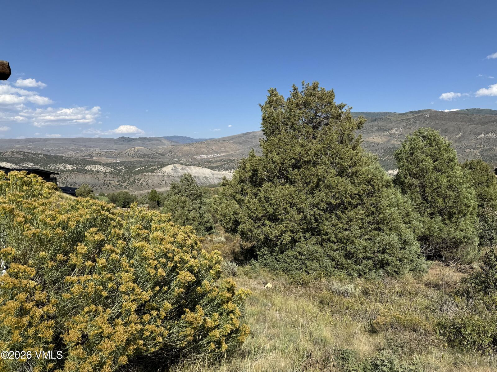 Property Photo:  214 Juniper Trail  CO 81655 