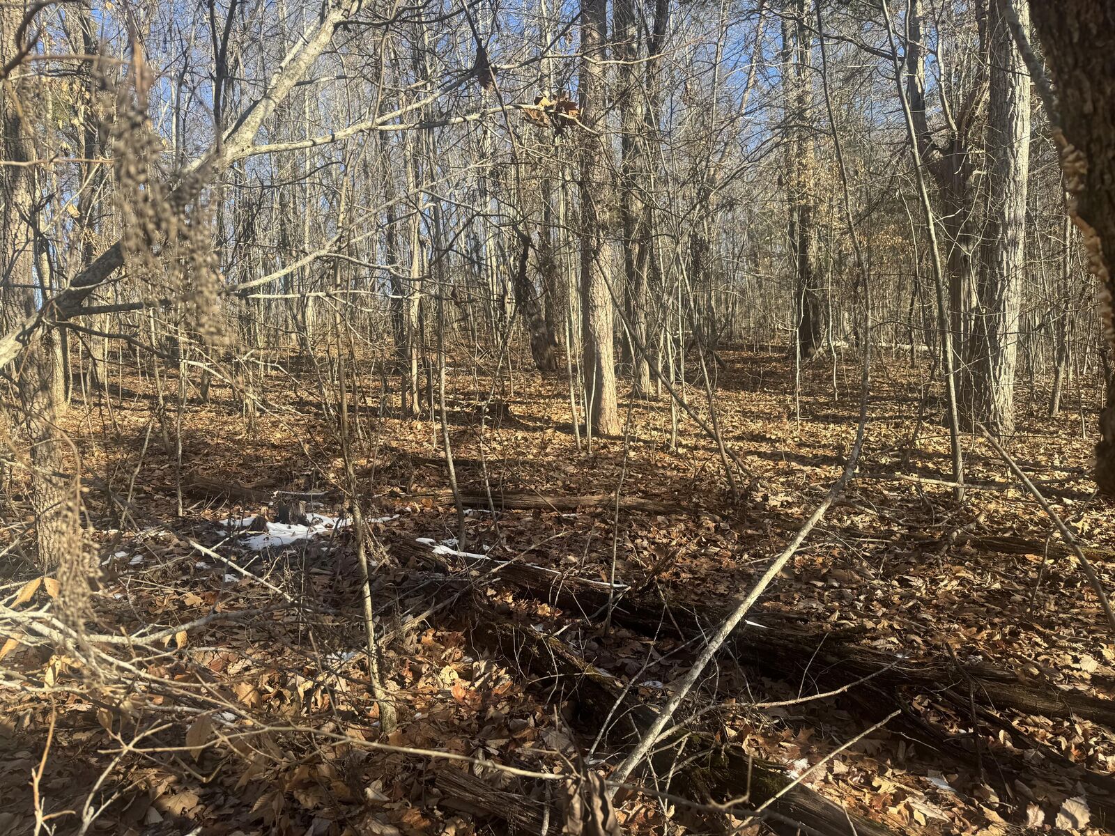 Property Photo:  280 Chapman Road  TN 37327 