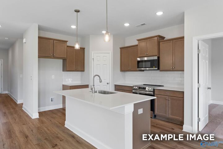 Property Photo:  103 Drupelet Lane  AL 35759 