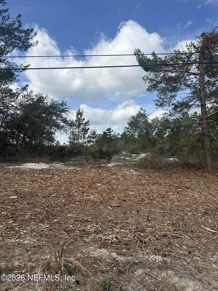 Property Photo:  0 Pettit Road  FL 32112 