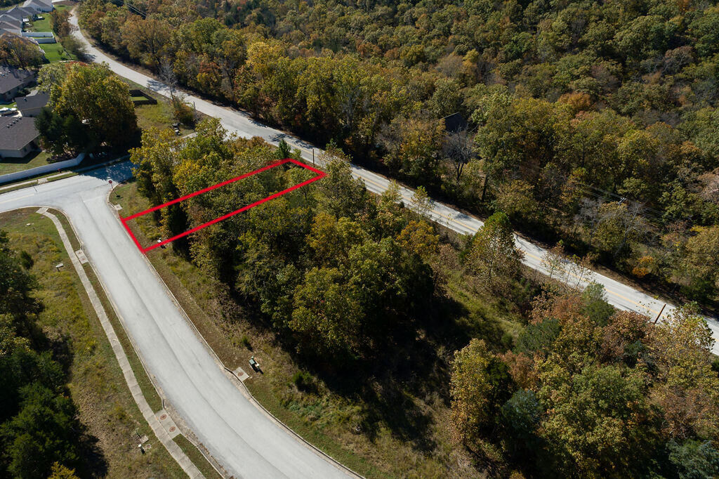Property Photo:  Lot 2 Redwine Avenue  MO 65616 