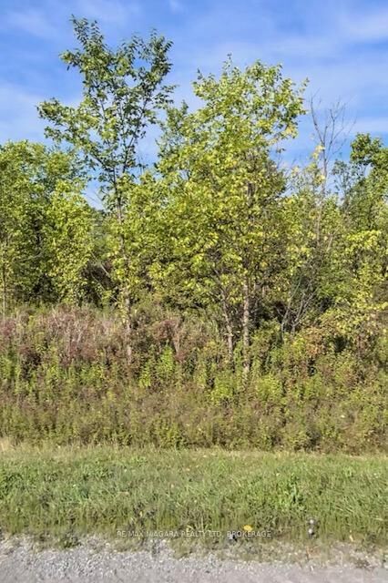 Property Photo:  Lot 4 Montrose Road  ON L3B 5N7 