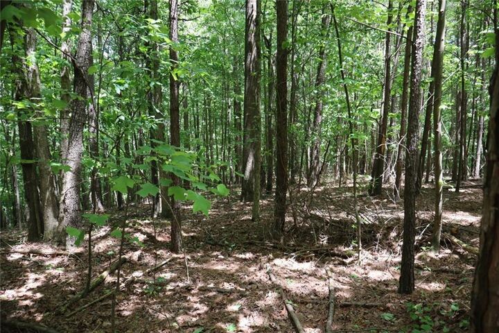 Property Photo: 0 Parksbrook Road A GA 30540