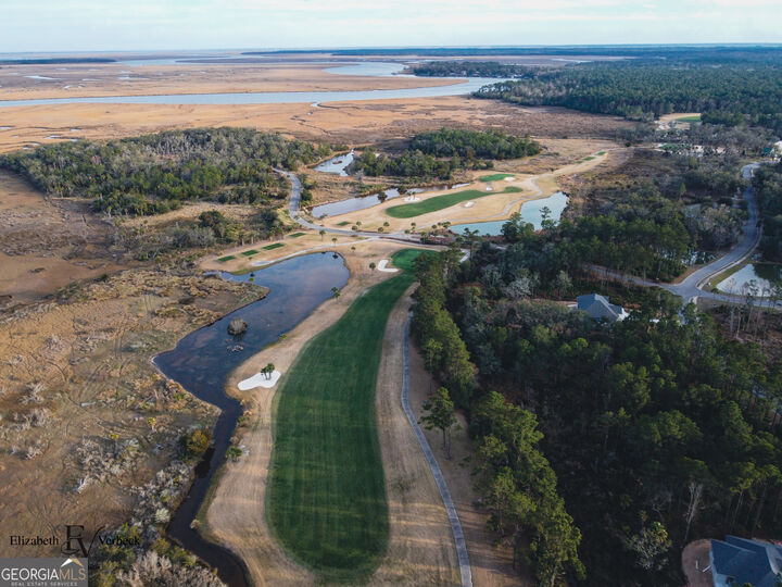 Property Photo: 490 Blue Heron Trail GA 31565