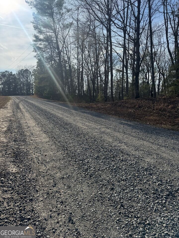 Property Photo: 208 Lake Forest Drive GA 30540