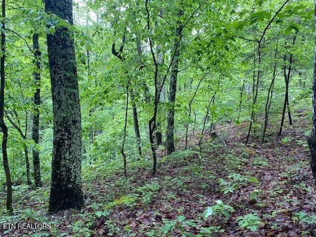 Property Photo:  9129 Lynnwood Lane  TN 37853 