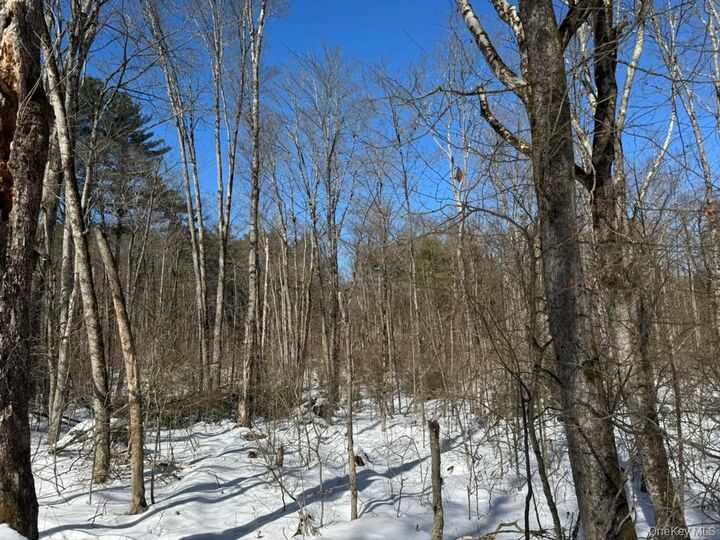 Property Photo:  Lot 32 Woodstone Trail  NY 12720 