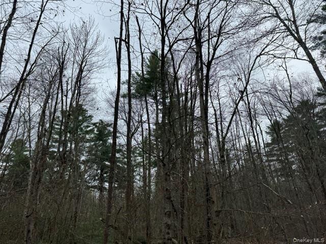 Property Photo:  Lot 32 Woodstone Trail  NY 12720 
