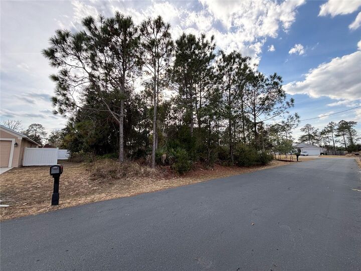 Property Photo: 4 Royal Leaf Lane FL 32164