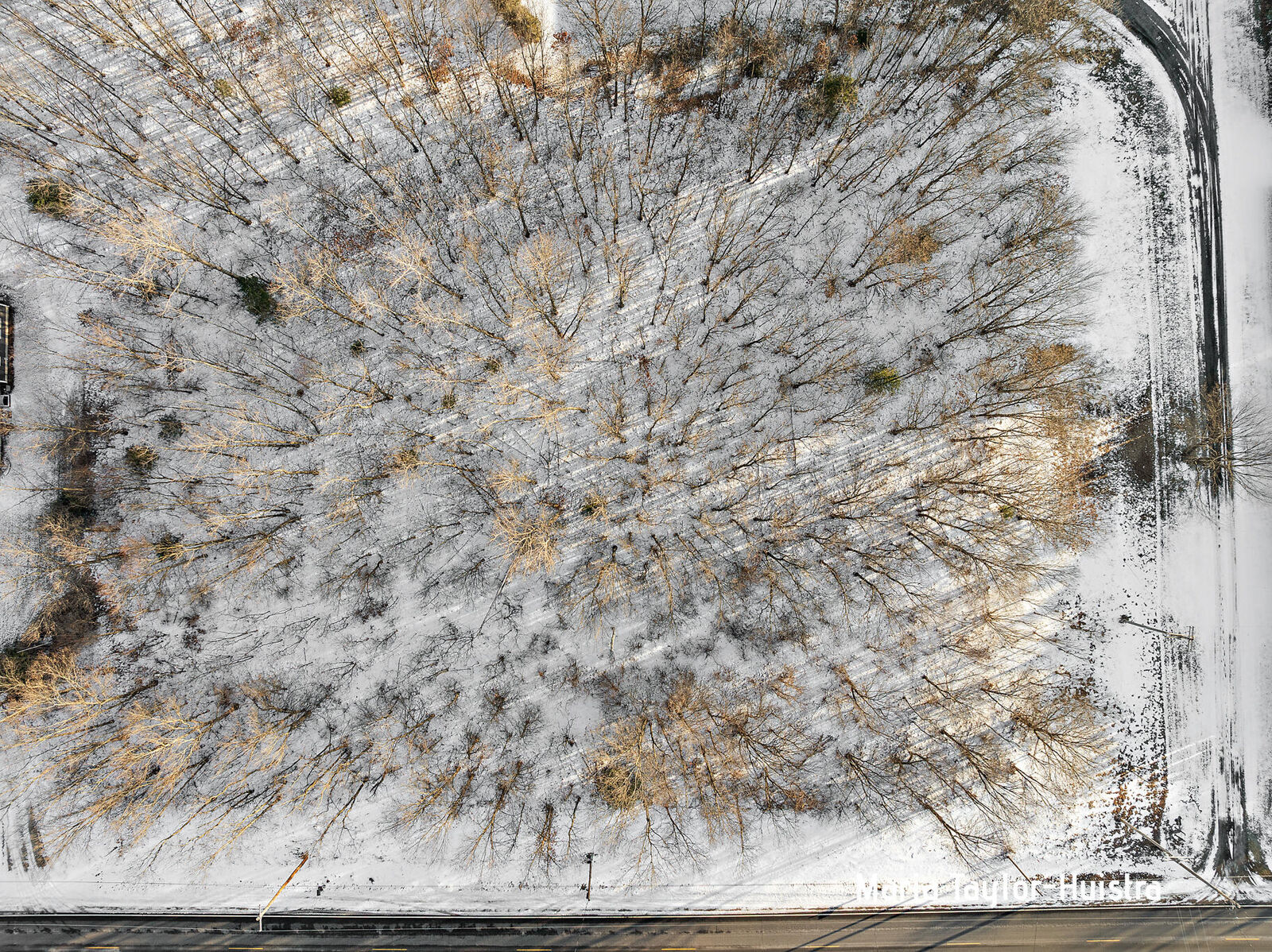 Property Photo: 0 Szymas Drive MI 49417