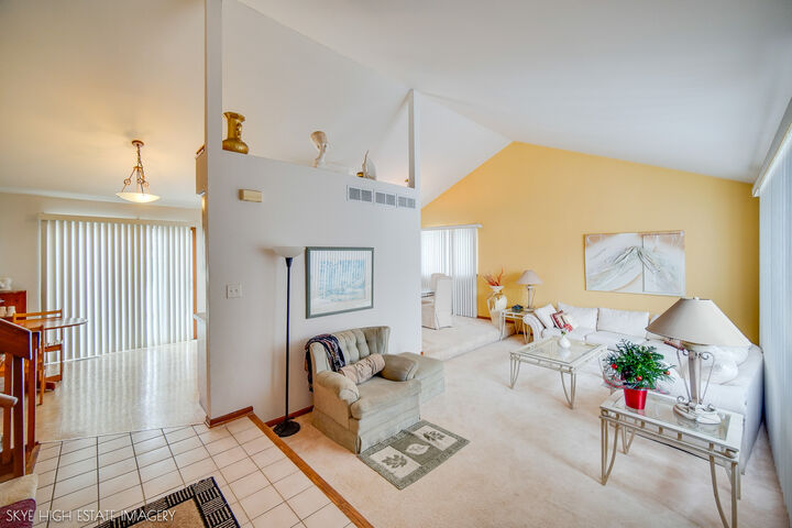 Property Photo:  45 Denise Court  IL 60443 