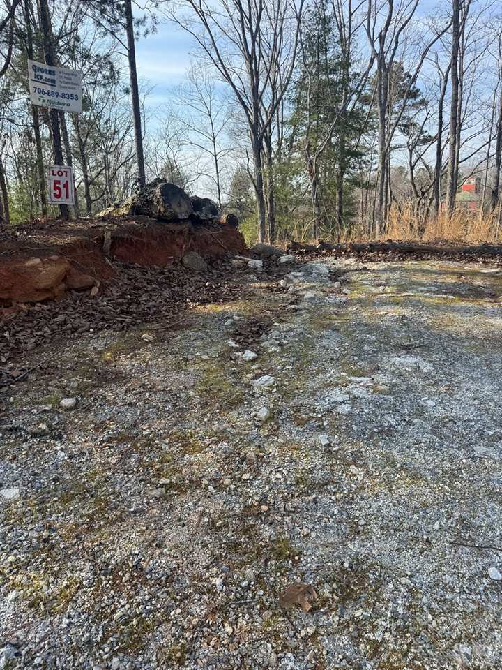 Property Photo: 208 Lake Forest Drive GA 30540