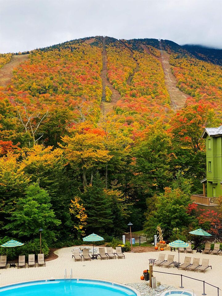 Property Photo:  7412 Mountain Road  VT 05672 