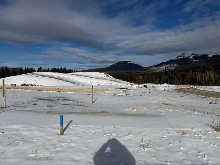 Property Photo:  420 Lily Avenue  AB T0M 2H0 