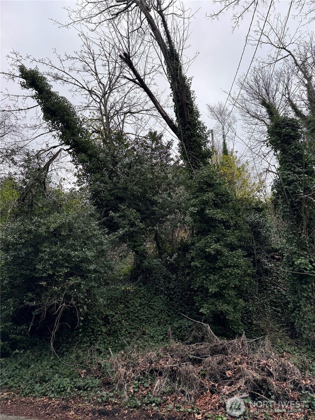 Property Photo:  19 Xx  32nd Avenue W  WA 98199 