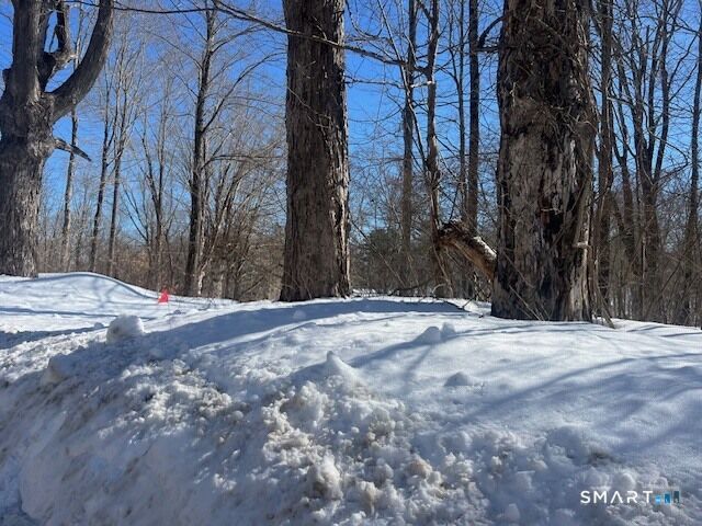 Property Photo:  Bebbington Road  CT 06278 