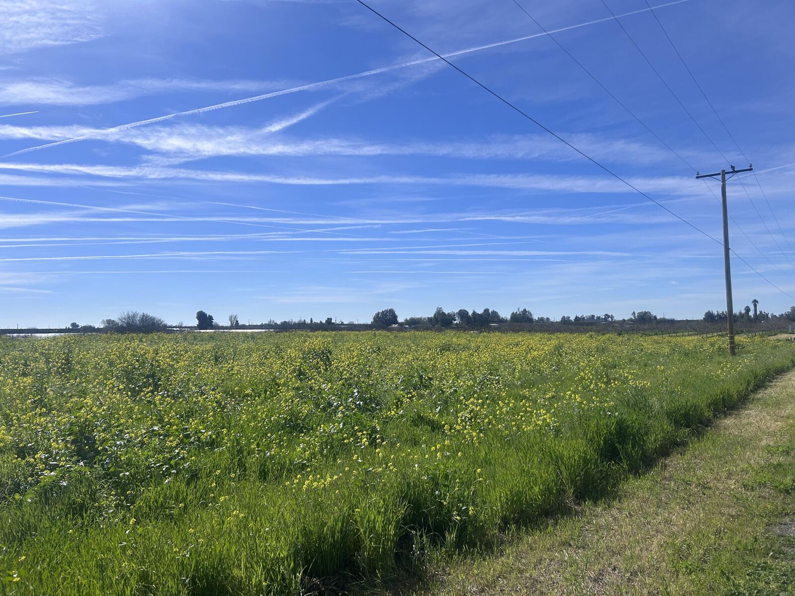 Property Photo:  0 SE Avenue 88 Avenue SE  CA 93270 