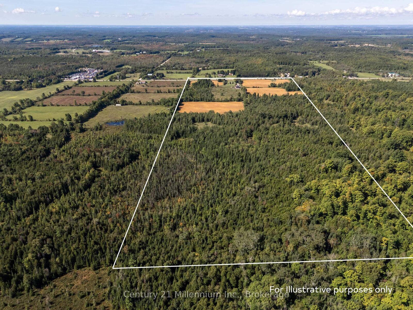 Photo de la propriété:  315421 Highway 6 Highway  ON N0H 2V0 