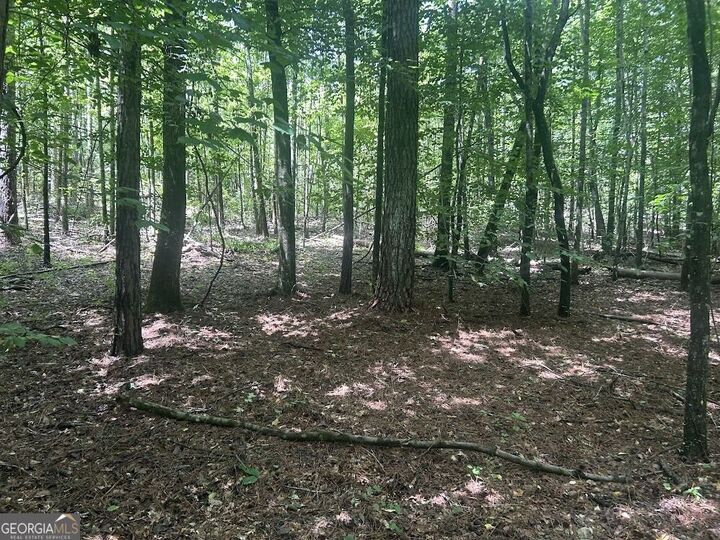 Property Photo: 111 Riversong (Tract 26) GA 30117
