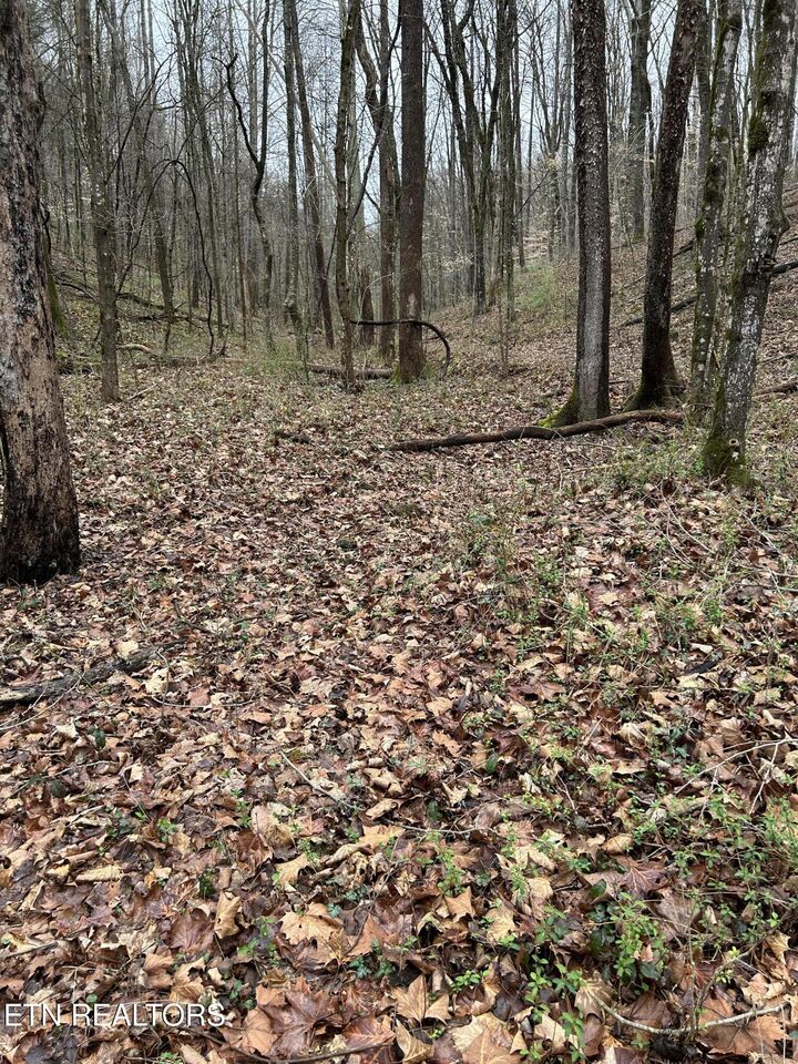 Property Photo:  9 + 64 Ac Saga Lane  TN 37931 