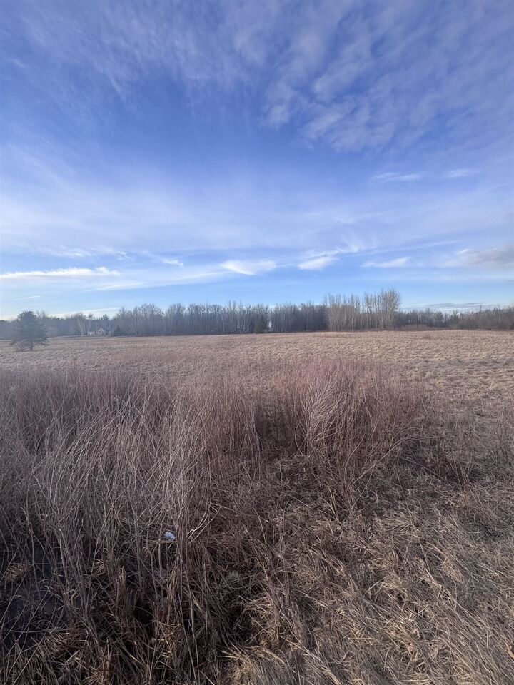 Property Photo:  V/L E Hubbard  MI 48642 