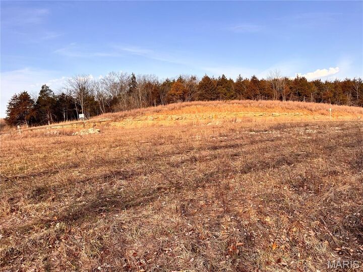 Property Photo:  3513 Butler Valley Drive  MO 63052 