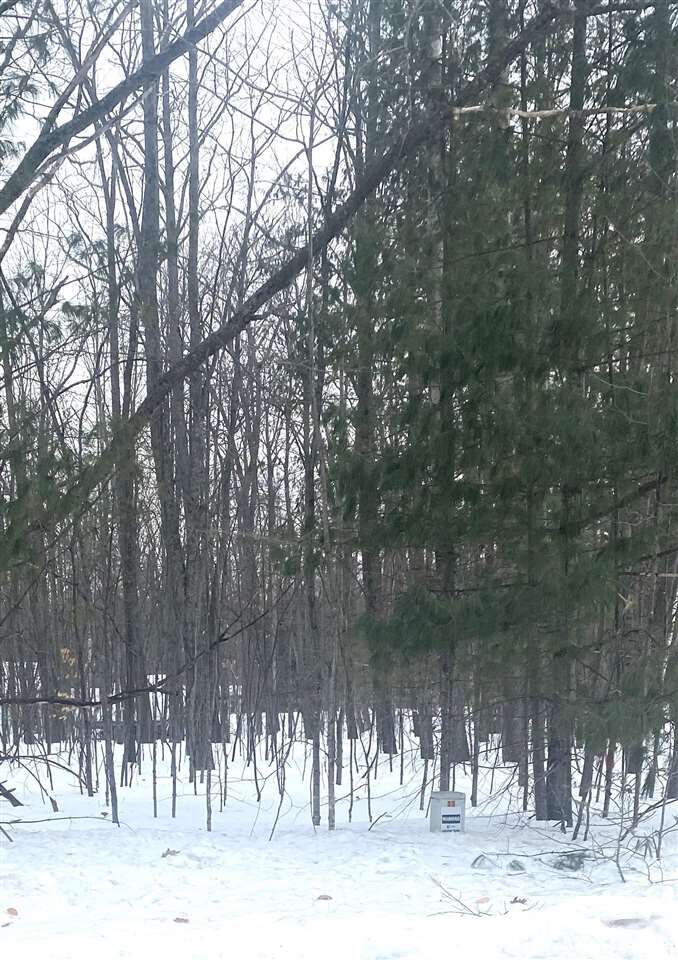 Property Photo:  11115 Douglas Lake  MI 49769 