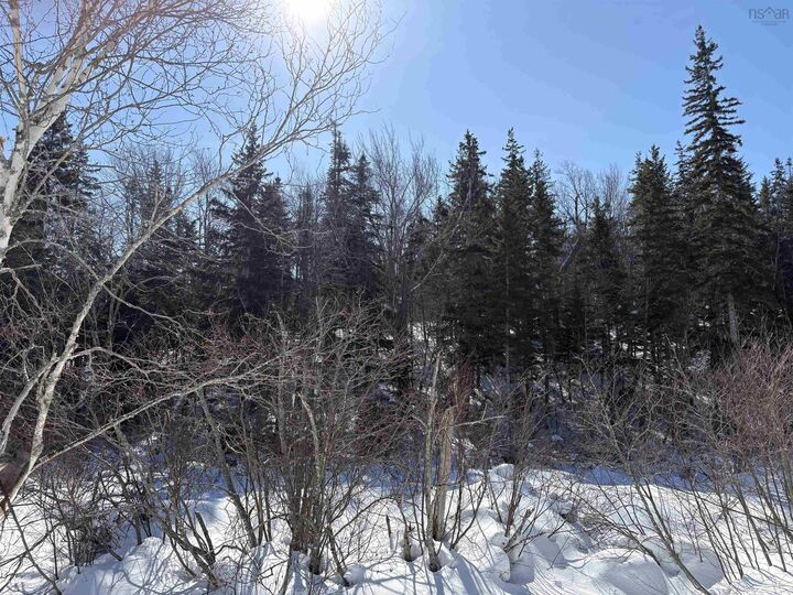 Property Photo:  0 Highway 19  NS B0E 1N0 