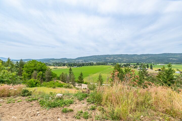 Property Photo: 229 Enderby Grindrod Road BC V0E 1V4