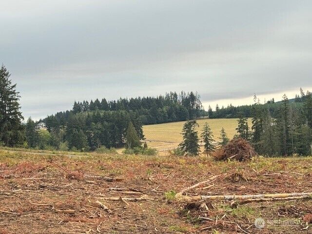 Property Photo:  121  Woodberry Lane  WA 98596 