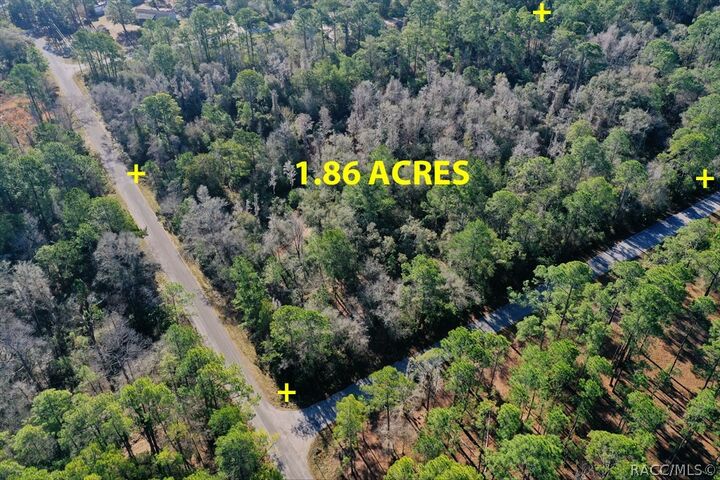 Property Photo:  9485 N Beechtree Way  FL 34428 