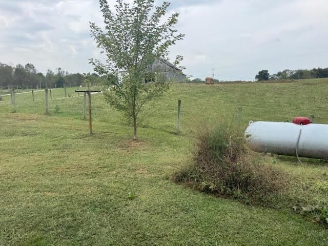 Property Photo:  2561 N Jackson Highway  KY 42722 