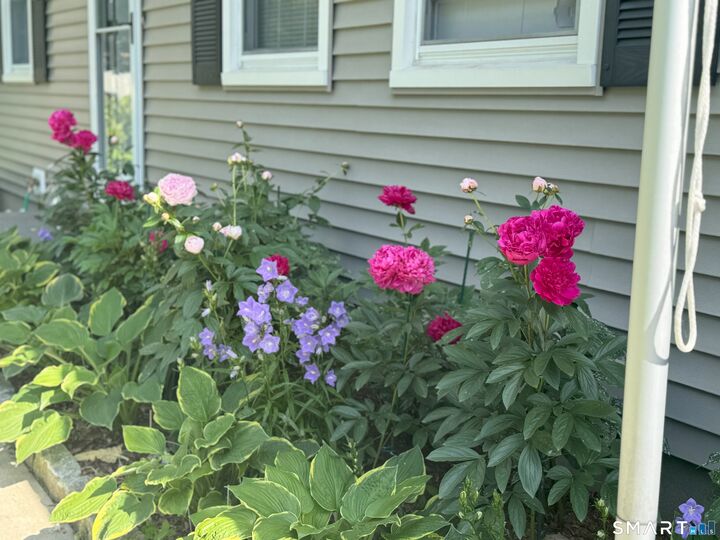 Property Photo:  38 Vernon Road  CT 06082 