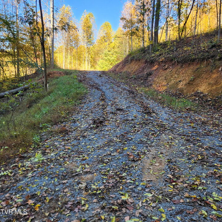 Property Photo:  129 Oaks Road  TN 37692 