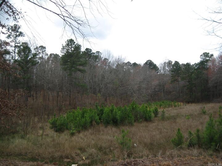 Property Photo:  0 Willow Springs Rd  AR 72206 