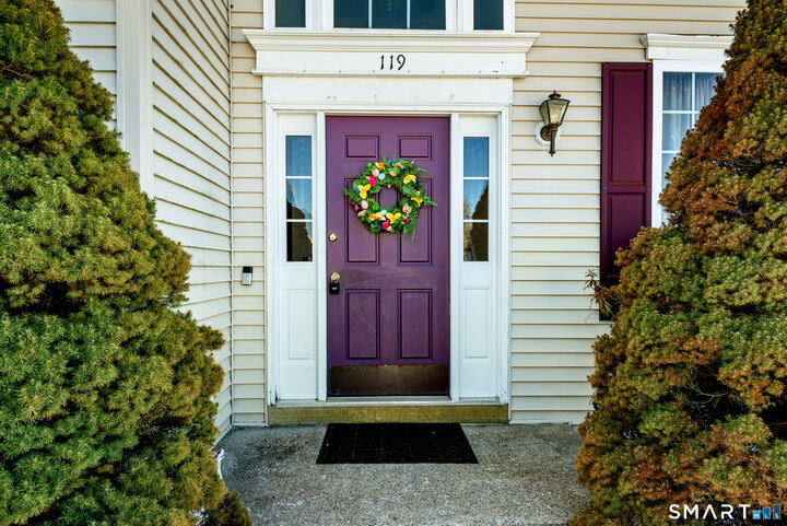 Property Photo:  119 Auburn Way  CT 06790 