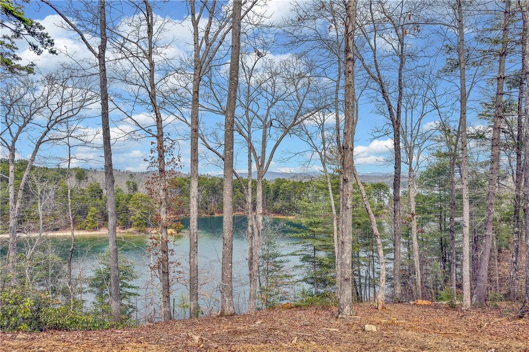 Property Photo:  731 Barberry Court  SC 29676 