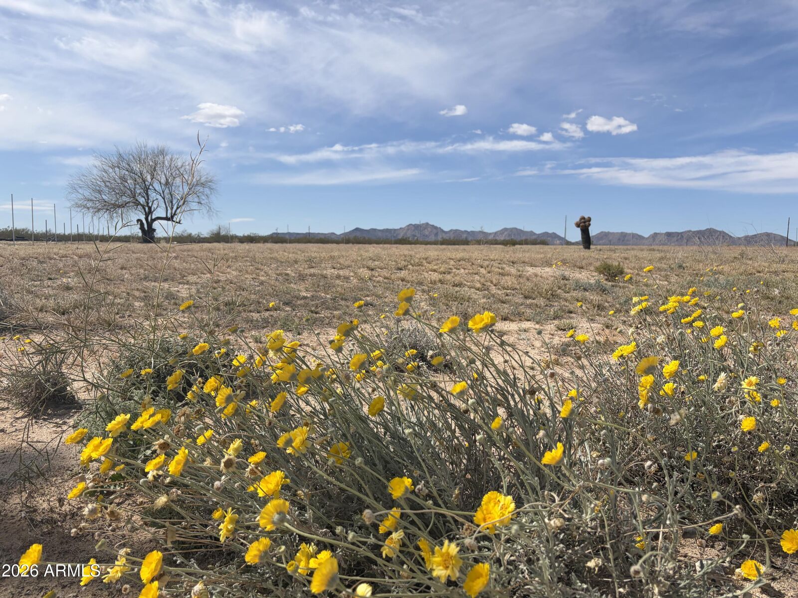 Property Photo:  37138 Six Shooter Road 3  AZ 85348 