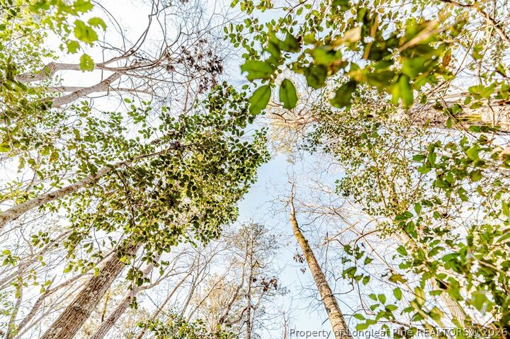 Property Photo:  2027 Long Point Trail  NC 27332 