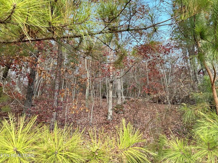 Property Photo: 726 Twin Lks Drive TN 37774