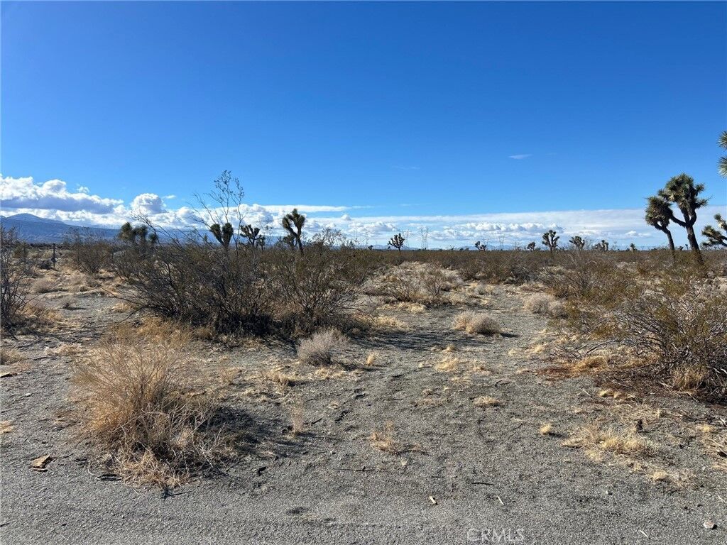 Property Photo: 0 Silver Rock Road CA 92372