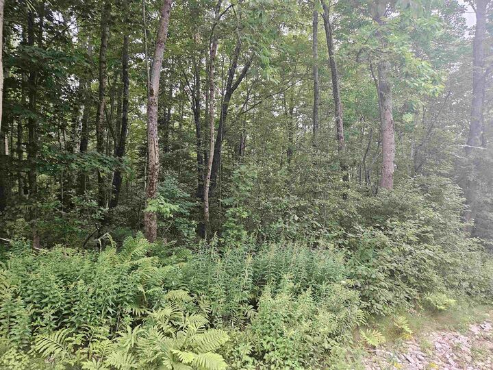 Property Photo:  Lot 3.1 Off Parker Road  NH 03585 
